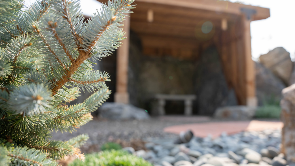 The Gardens Spotlight: The Grotto close up of evergreen leaves with a wooden structure in the background