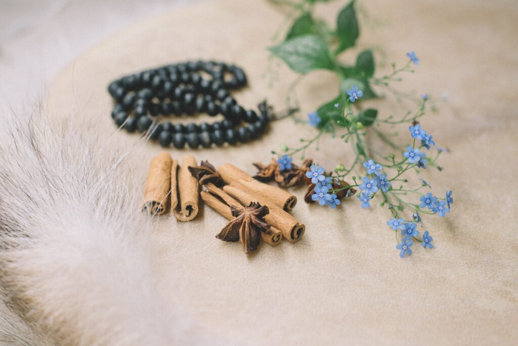 53: Discovering Your Ultimate Truth with Brighid Murphy close up of a white feather, black beads, green leaves, and blue flowers on a white surface
