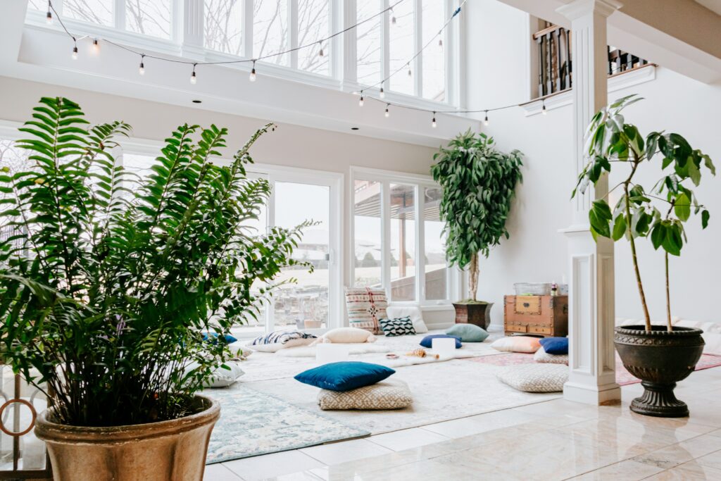 bright room with windows and large green plants