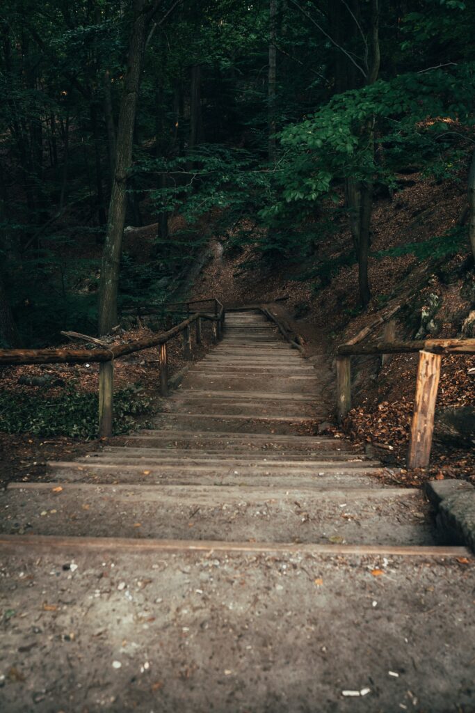 103: The Importance of Forgiveness and Self Recovery with Rev Rachel Harrison gravel steps descending into a dark green forest