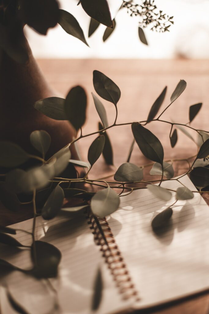 close up image of eucalyptus on a an open notebook