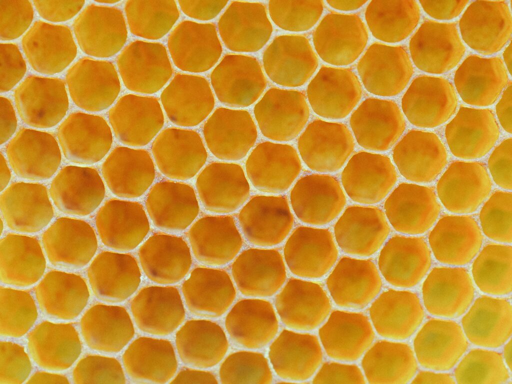Why I Don't Like the Word "Busy" close up of a yellow bee honeycomb
