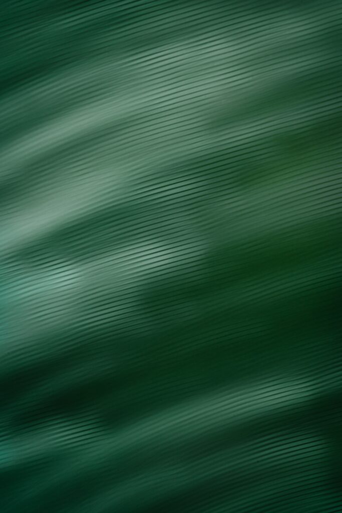 maksym tymchyk GfinLzdTjxc unsplash