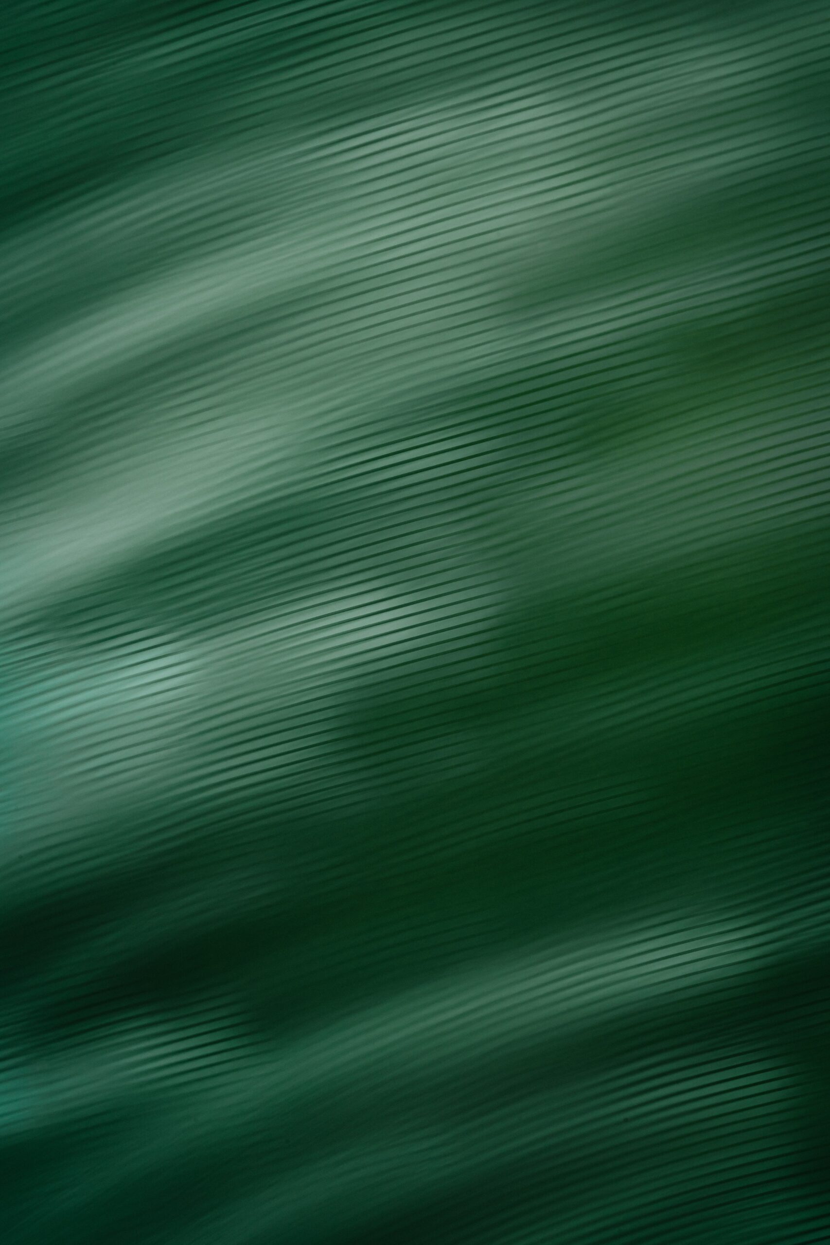 maksym tymchyk GfinLzdTjxc unsplash