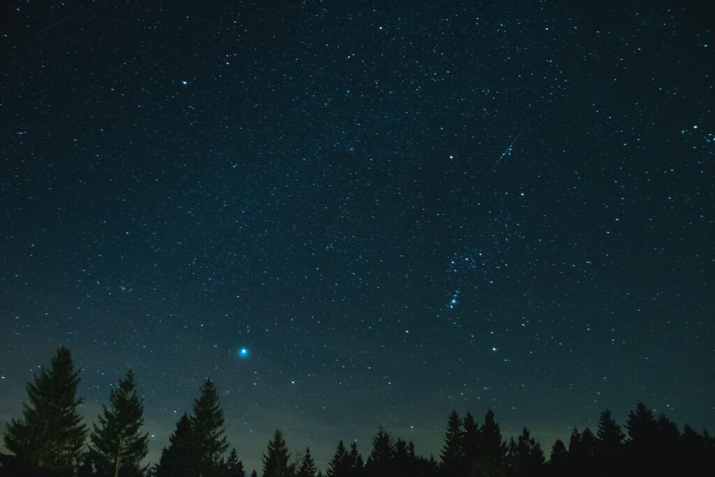 niklas garnholz 1xK Po77W4A unsplash