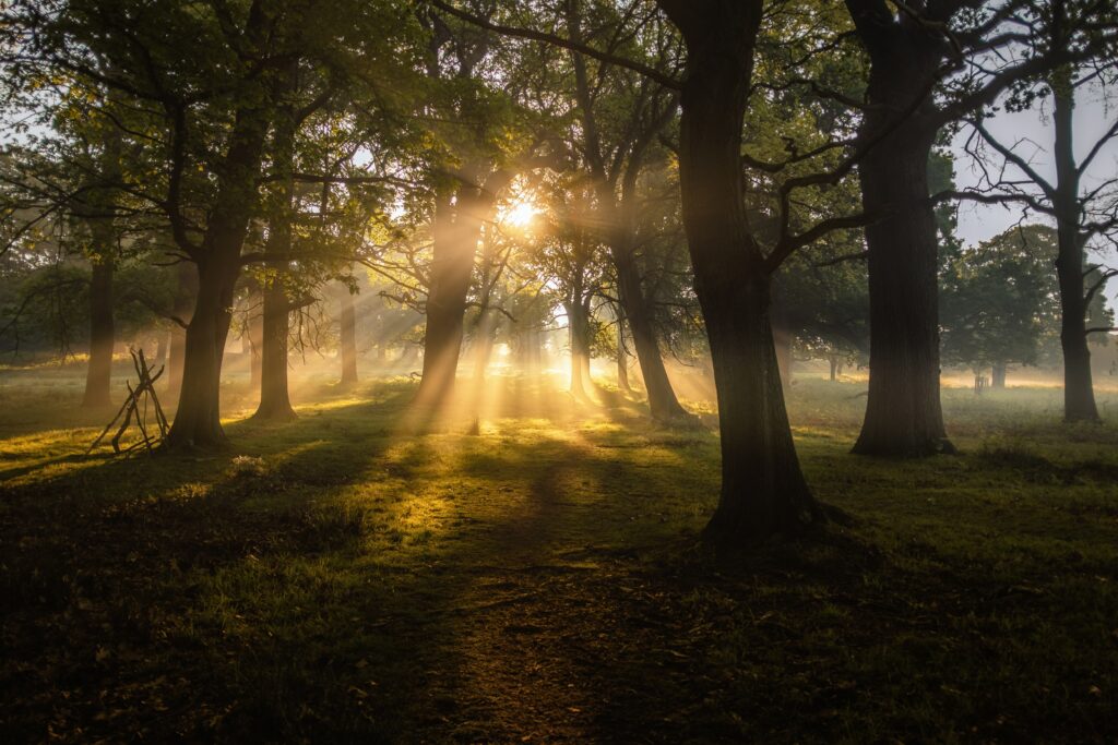 simon wilkes 2ceyL8qAPXg unsplash