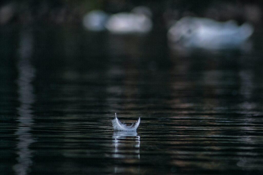 96: The Beauty of Deafening Silence andraz lazic 64sgR8HV 68 unsplash