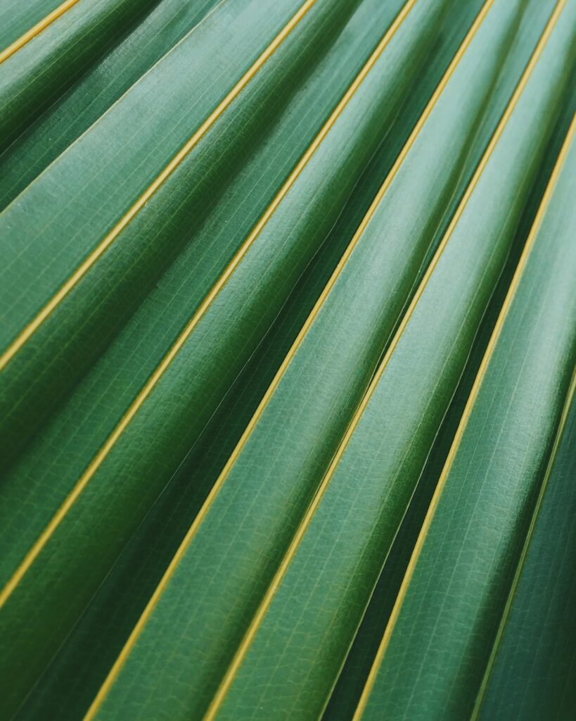 scott webb 3l5B 4E u0 unsplash
