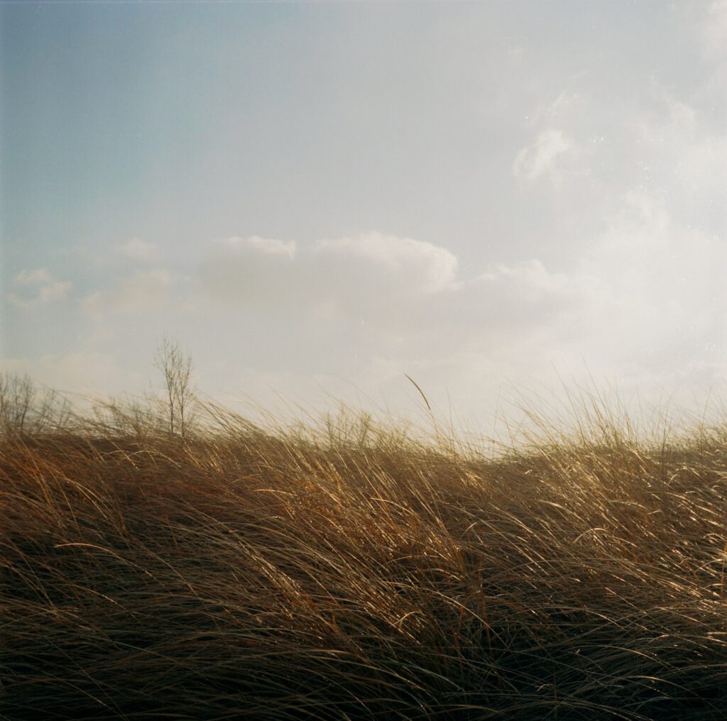 Sun vs the North Wind pexels jeffrey czum 774535