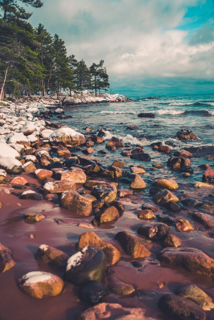 max bender ONqSO8xjex8 unsplash