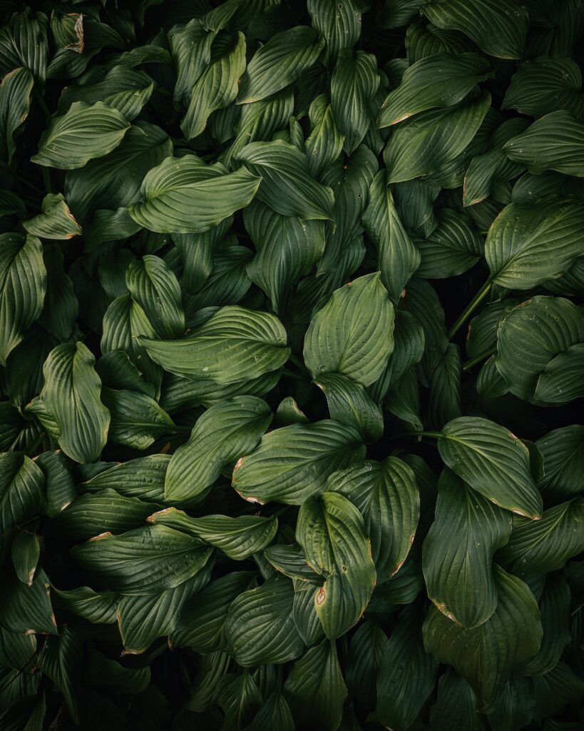 muneeb syed x9NfeD3FpsE unsplash