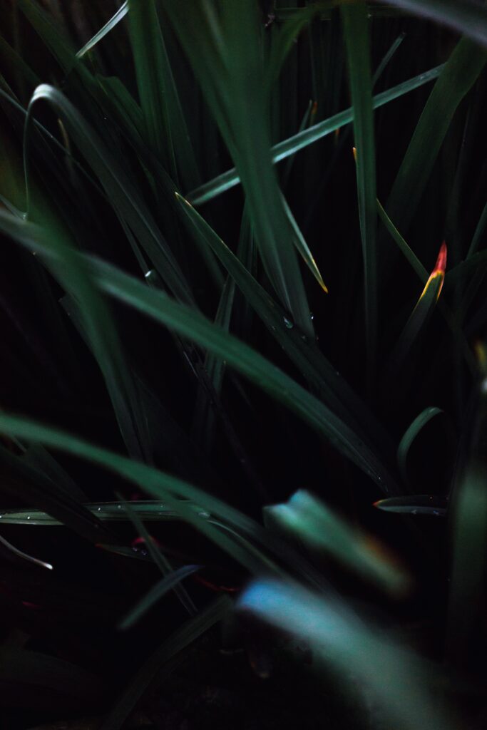 serge kutuzov JJjfLYe0Dto unsplash