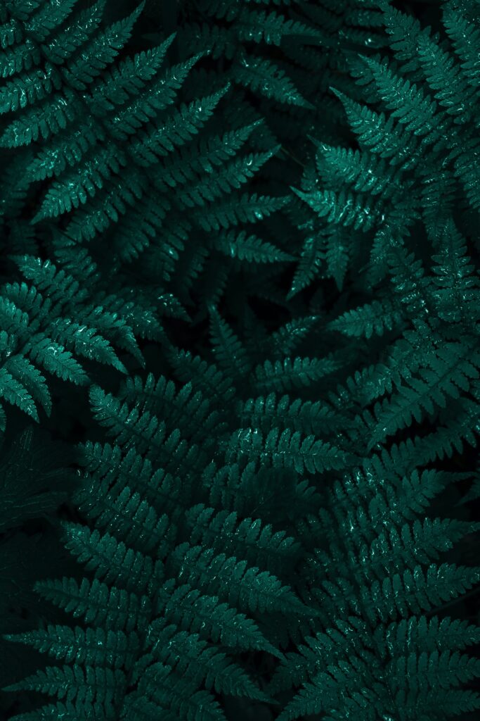 pexels danila popov 9007606