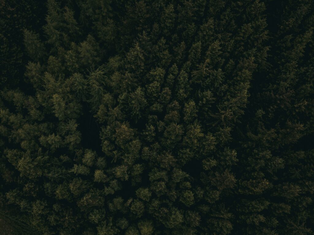 pexels kyle loftus 2734519